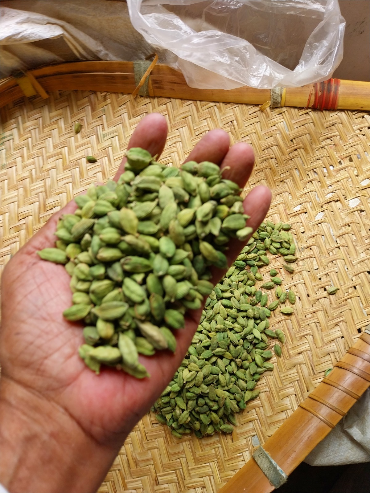 Spice farm India